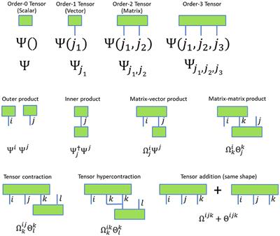 ExaTN: Scalable GPU-Accelerated High-Performance Processing of General Tensor Networks at Exascale